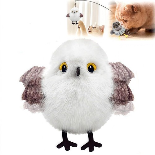 Jouet pour chat oiseau - pour,