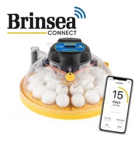 Machine couveuse brinsea - machine,