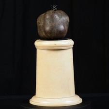 Rare Bézoard de Yack