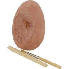 Oeuf de dinosaure - Ulysse