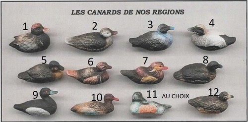 2004 arguydal les canards - 2004,
