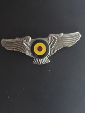 Aviation .  Aile de Pilote (