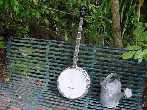 Vintage banjo bacon sound - banjo,
