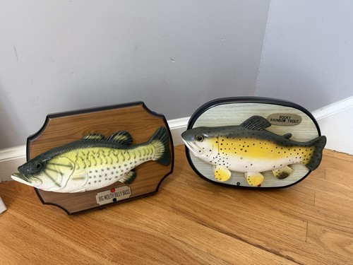 Rare singing fish lot - fish, big