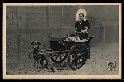 Carte postale maisons - postale, femme