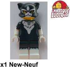 Lego Figurine Minifig series