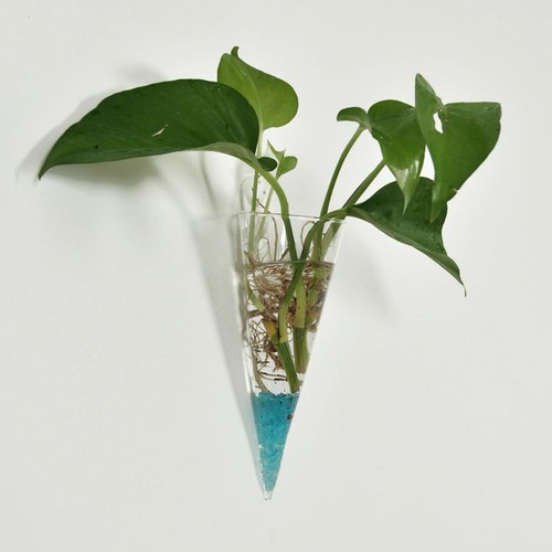 Vase verre suspendre - vase, en