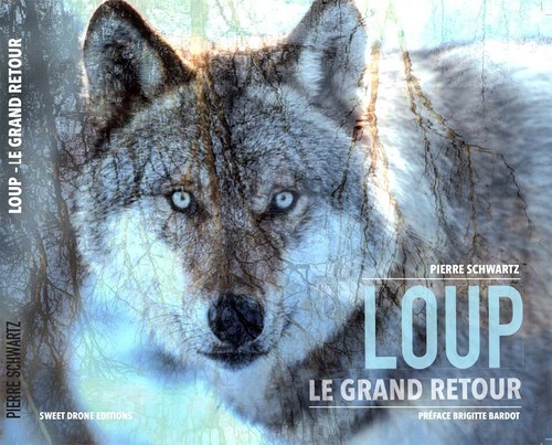 Loup grand retour livre - le, retour"livre
