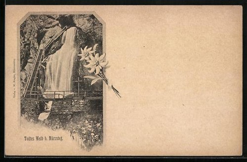 Carte postale mürzsteg - carte,
