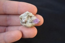 1 Rubis sur gangue 53,50ct