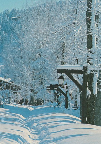 Frimas pays du mont - (74),