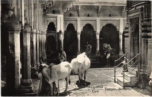 Cpa benares anapurna temple - ak,