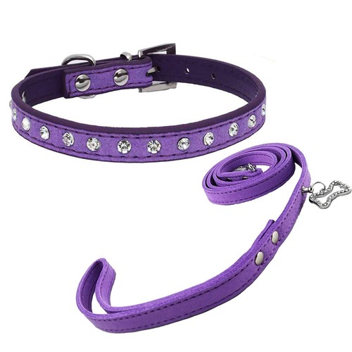 Collier laisse mignonne de - laisse,