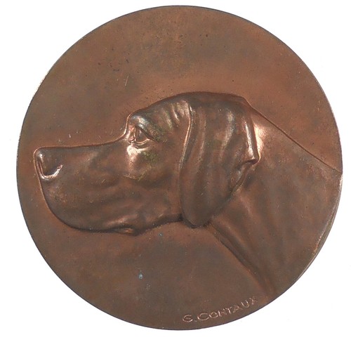 France chien pointer - pointer, award