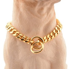  Accessoires Chien Chaîne