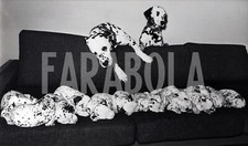 Photo de presse vintage