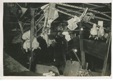 Paris, Effondrement aux Halles, têtes de veau, langues de boeuf, dans les platra