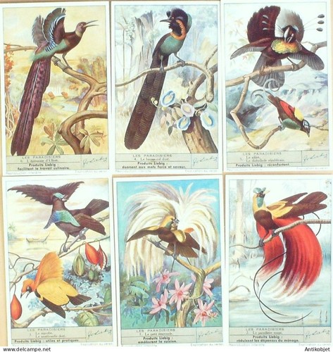 Chromo liebig sang 1455 - sang,