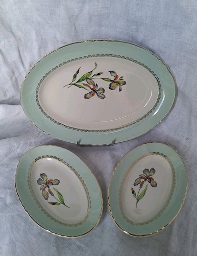 Plat ovale raviers en - ovale, 2
