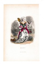 Gravure XIXe Œillet Dianthus