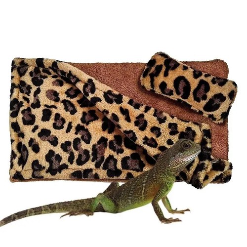 Lit dragon barbu avec - , oreiller