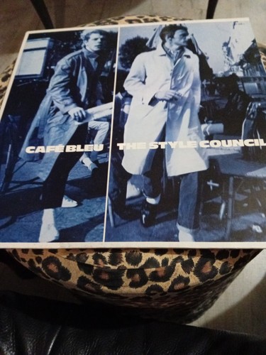 Disque vinyle 33t the - vinyle, style