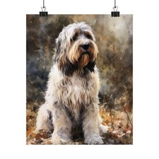 Petit Basset Griffon Vendeen