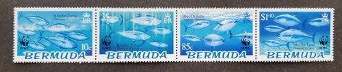 Livraison gratuite bermuda - *livraison,