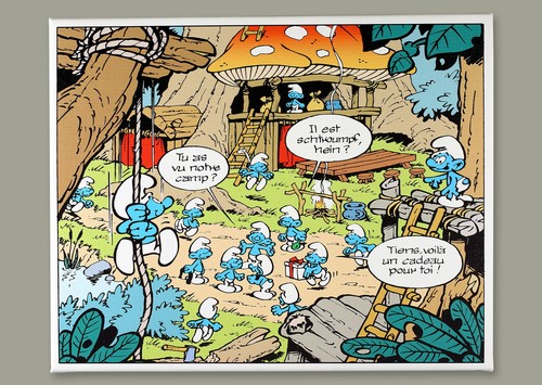 Les schtroumpfs camp - les, le
