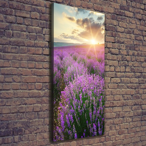 Tulup tableau sur - tableau, toile