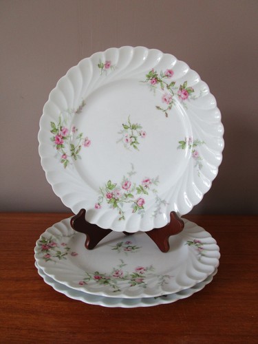 Assiettes plates cm en - plates,