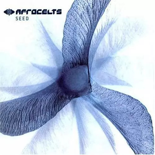 Seed afro celt - sound, system