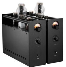 One Pair 300B Monoblock Vacuum