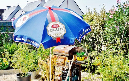 Collector pour connaisseurs - pour,