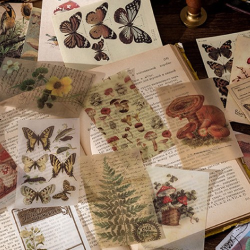 Feuilles set accessoires - feuilles,