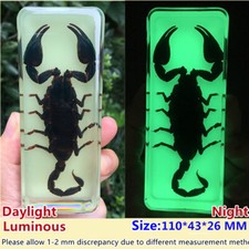 1PC Insect En Résine Lumineux