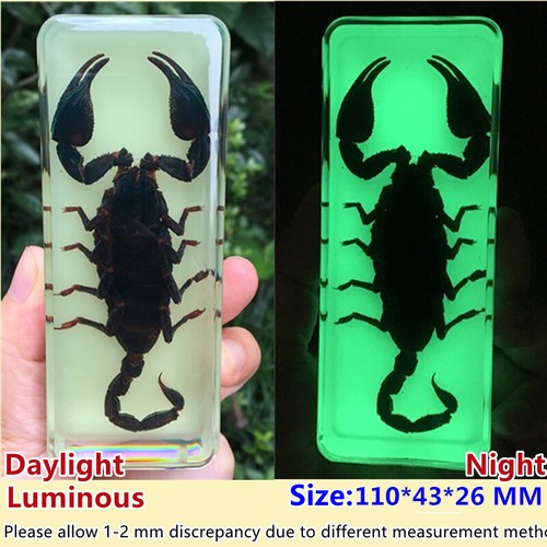 1pc insect résine lumineux - résine,
