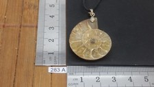 Collier AMMONITE + CORDON