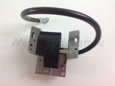 Bobine D'Allumage Tondeuse À