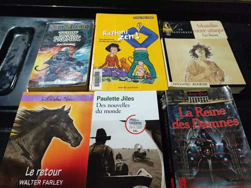 Lot livres bd pour - 22,