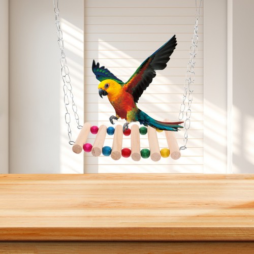 Décoration cage oiseaux - cage,