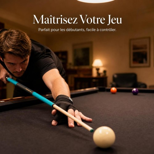 Canne billard pièces en - 2,