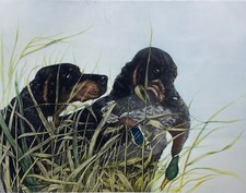 Gravure grand format du peintre Léon Danchin "Chiens de chasse" canard