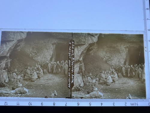 Plaque verre stereoscopique - plaque,