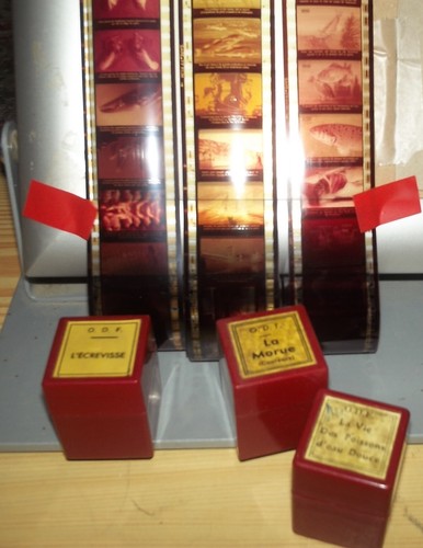 Films fixes d f - films, 35