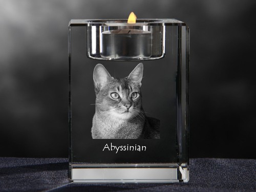 Chat abyssinien bougeoir - chat, en
