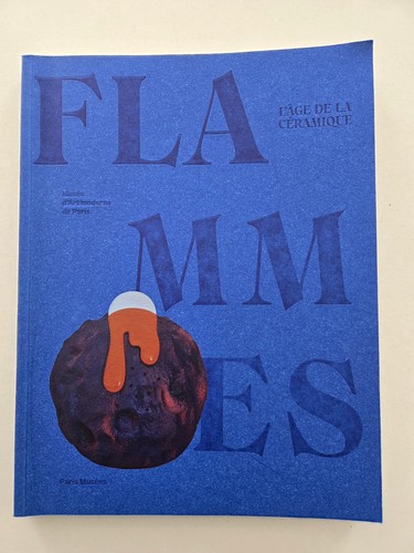 Livre les flammes - -, de