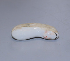 - FEVE BEBE DANS HARICOT  1ere