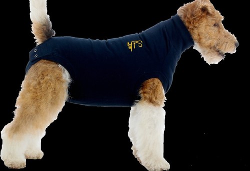 Vetement medical pet shirt - vetement,