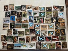 STICKER AUTOCOLLANT PANINI